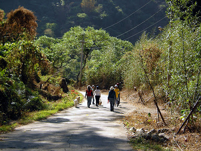 高雄那瑪夏發啦斯營地 @98 年春節移動露營 (4-1)