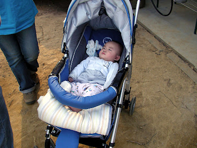 苗栗大湖老官道休閒農場 @八大露營社風箏美食營