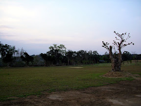 苗栗大湖老官道休閒農場 @八大露營社風箏美食營