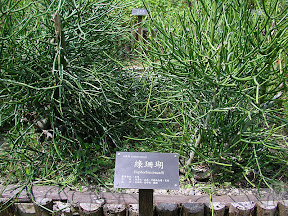 花蓮牛山呼庭，台東小野柳，台東ㄚ一ㄚ旺 @95 年中秋露營