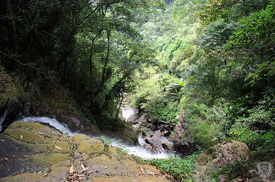 新竹五峰谷燕鳟魚養殖場露營區 @定點露營