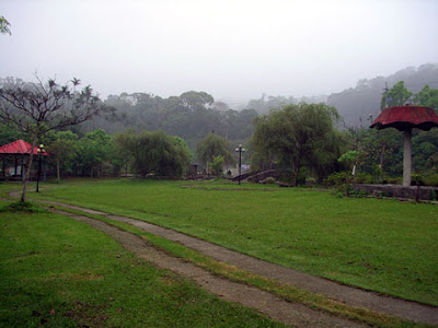 新竹關西飛鳳園農場 @定點露營
