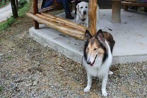 新竹北埔永茂森林山莊 @2009 第一屆古典燈爐聚會