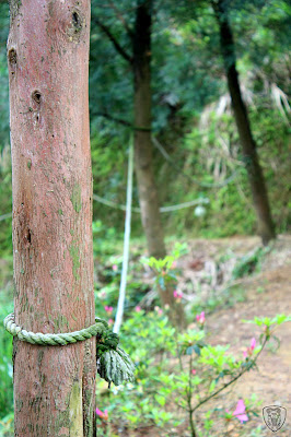 新竹北埔永茂森林山莊 @2009 第一屆古典燈爐聚會