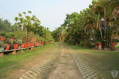 南投草屯本草奇花園 @八大露營社中/南區迎新活動
