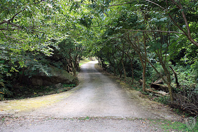 苗栗泰安龍安農園 @八大露營社活動