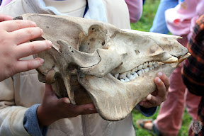 新竹五峰翡述景園 @定點露營