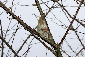 新竹五峰翡述景園 @定點露營