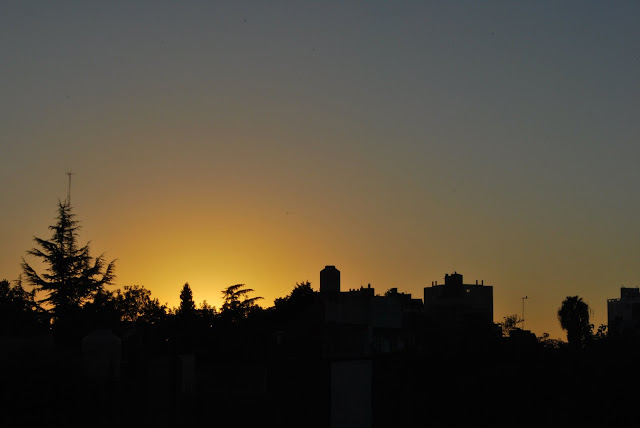 DSC_0007.JPG