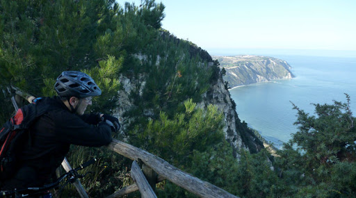P1000843.jpg