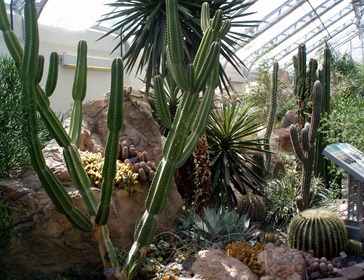 Botanical Gardens 14