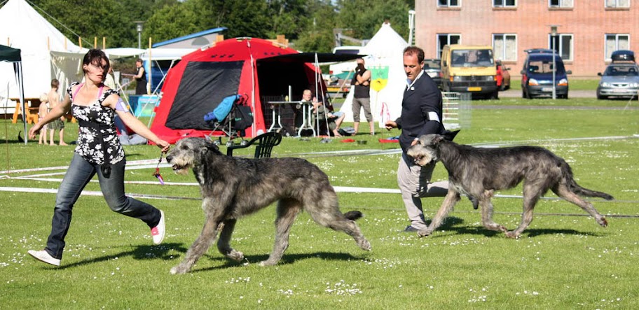 IMG_0533_resize.jpg