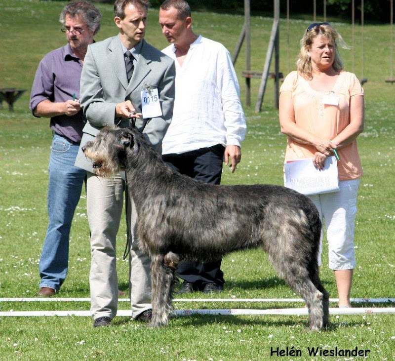 laszlo1.jpg