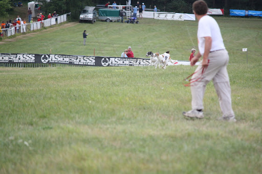 IMG_0635_resize.jpg