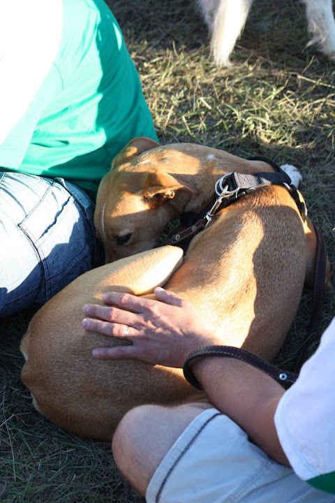 IMG_0703_resize.jpg