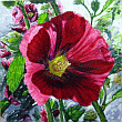 red hollyhock flower-acrylic painting