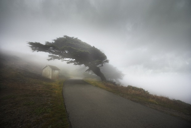 Road-in-mist in california