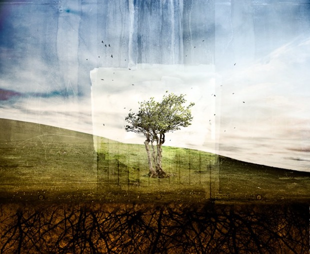 Green-landscape-digital-photography of Tree