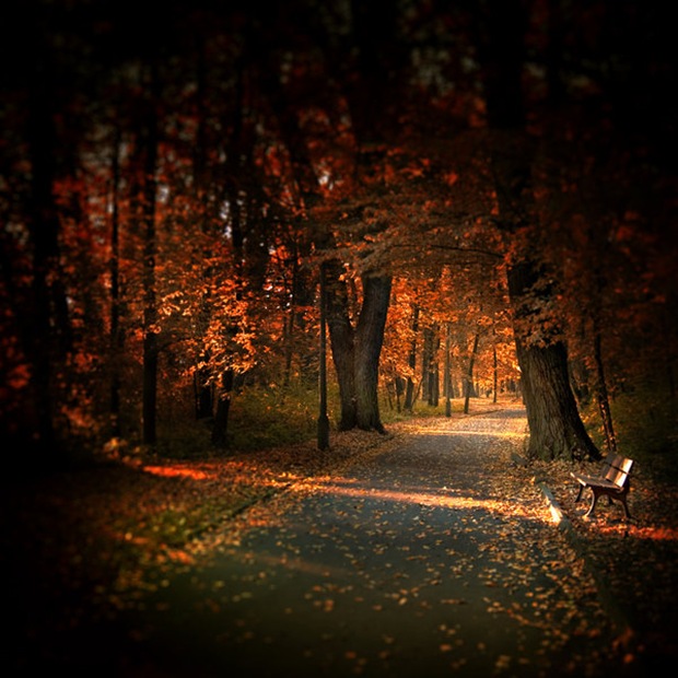 31-Autumn-nature-photography