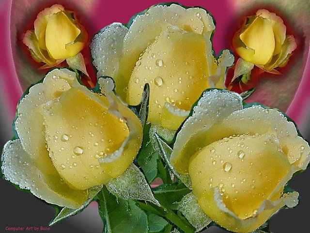 vaniamoraes.jpg%20border=