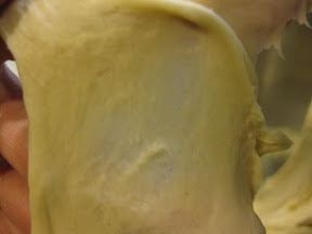 photo of stretched dough