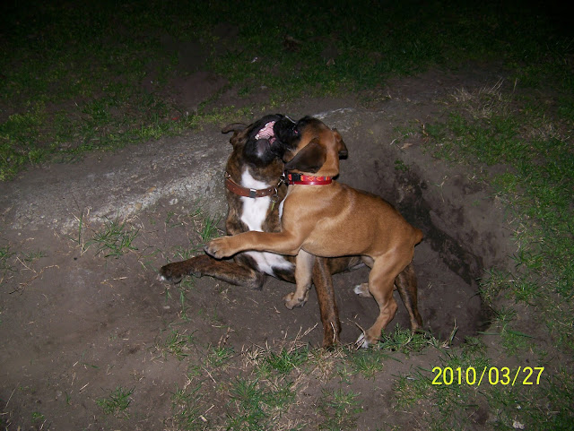 100_4433.JPG