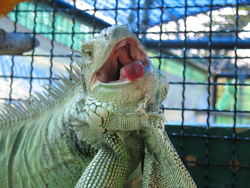 IMG_0011.jpg