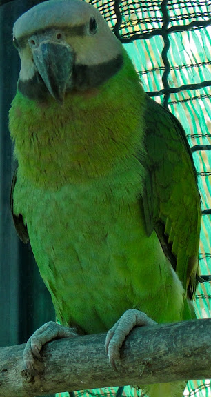 DSC00182.jpg