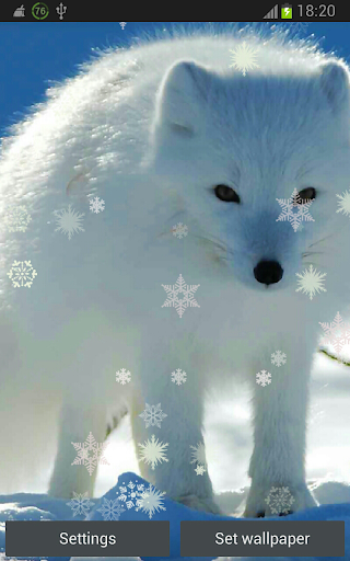 Christmas Holidays Lapland