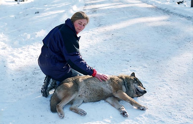 [kolmaarden2003_superia_3_800[3].jpg]