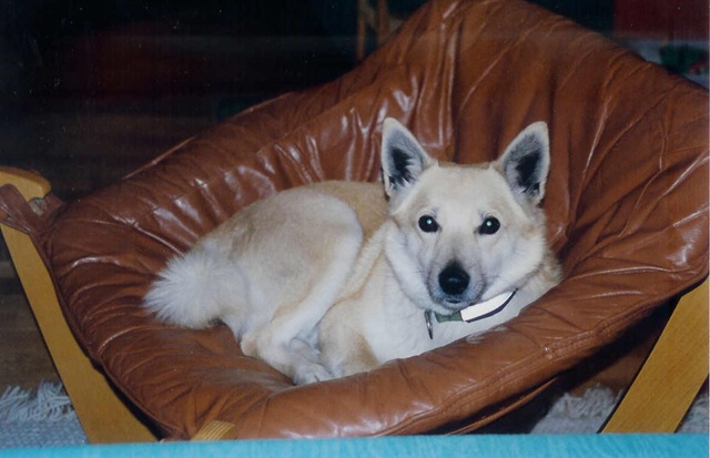 [Bella 17.12.02[3].jpg]