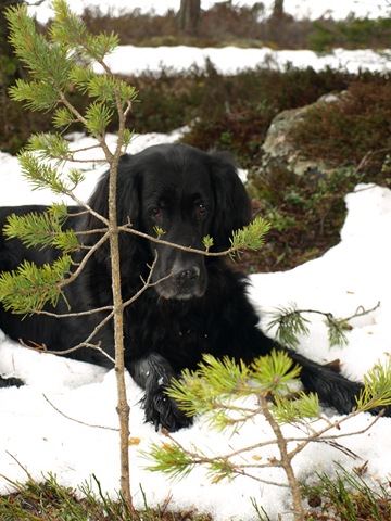 [Påske 2010 102.jpg]