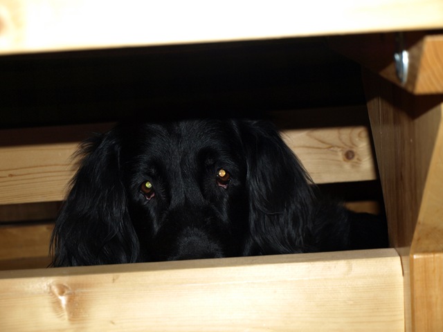 [Påske 2010 120.jpg]
