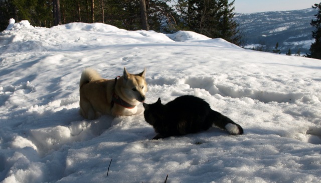 [Påske 2010 048.jpg]