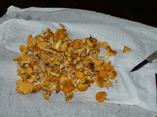 [0042.jpg]