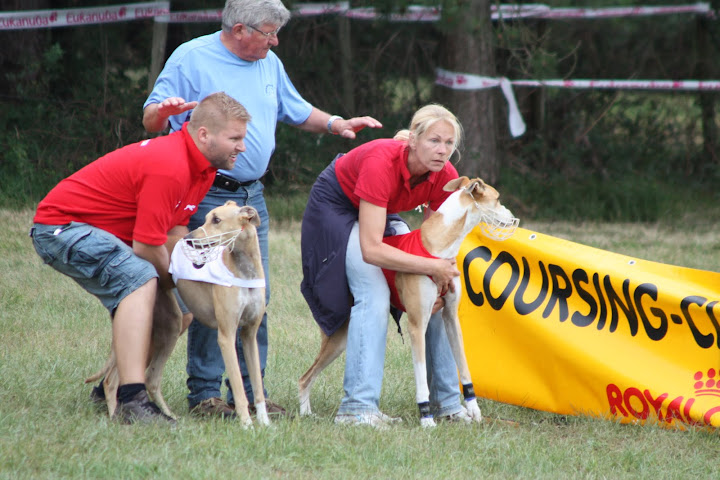 Championnat%20Europe%20Coursing%202010%20233.JPG