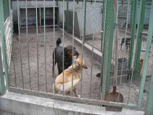 DSCN7541.JPG