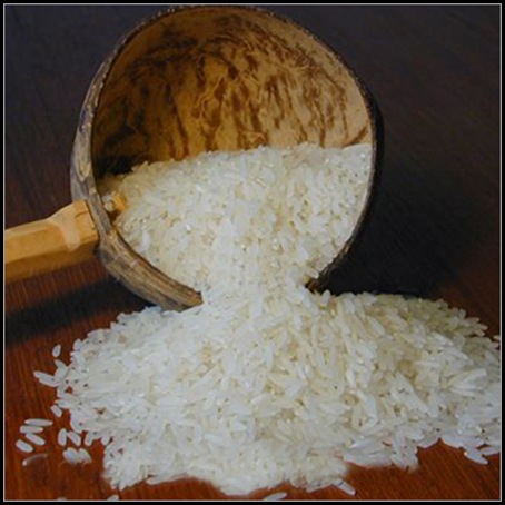 rice-exporters-india