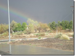 rainbow 003