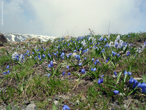 Гора Арагац и крепость Амберд (Армения)