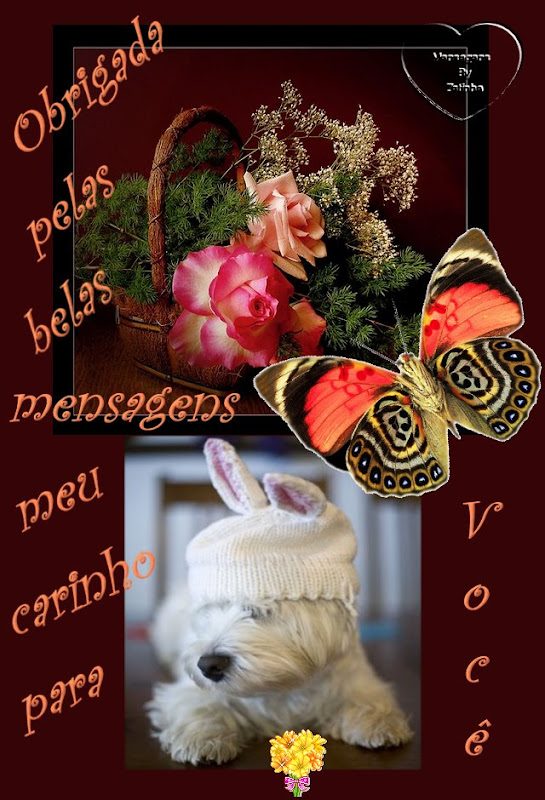 Image2.jpg%20agradecimentos1.jpg