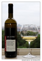 Dobrá vinice Quatre 2007 