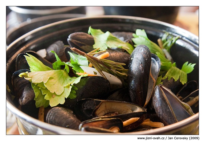 [les_moules_musle[6].jpg]