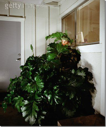 hiding behind plant