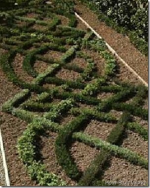 how-to-grow-an-herb-garden how stuff works