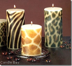 zebra candle bay