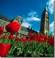 ottawa_parliament_tulips unicorn tours