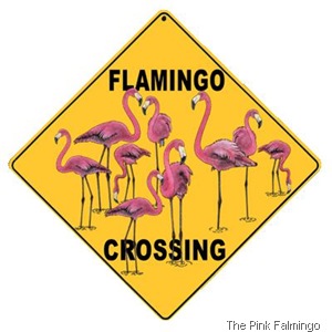 caution sign the pinkflamingo