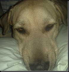 2009-06-17_00-46-50_17062009646-001