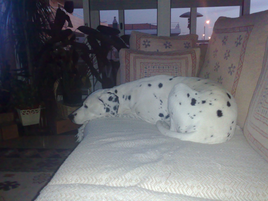 [17022009509[8].jpg]